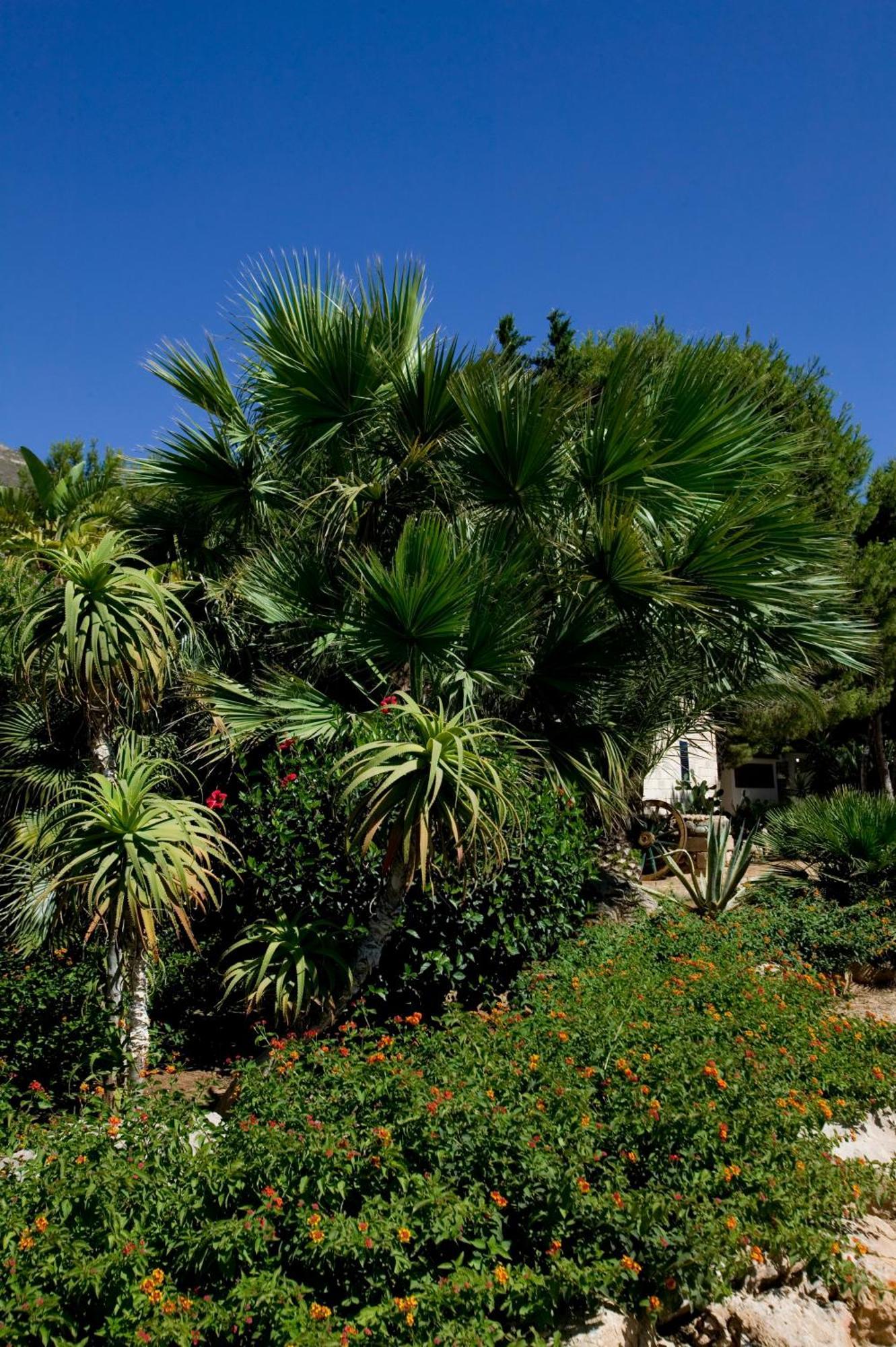 Miramare Residence Favignana Esterno foto
